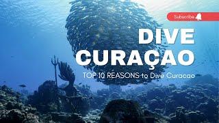 Top 10 Reasons to Visit Curacao for a Caribbean Scuba Diving Vacation | Dive Travel Curacao