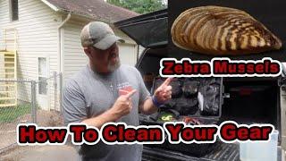 Zebra Mussel Contamination How To Clean Your Gear