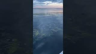 очистка воды