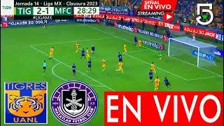 Tigres Vs Mazatlán En Vivo Donde Ver Tigres Vs Mazatlán En Vivo Partido J-14 Tigres Vs Mazatlan