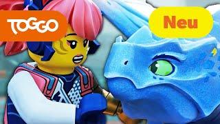 NINJAGO Deutsch | Eine echte Familie | LEGO | Aufstieg der Drachen | Ganze Folge | TOGGO ​Serien