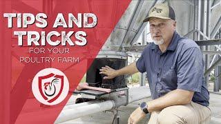 Poultry Farm Tips That Will Save You Money and Time