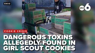 Lawsuit filed against Girl Scouts of America after alleged toxins, heavy metals found in cookies