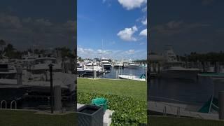 Waterfront views in Broward County Florida? #floridarealestate #floridahomeforsale