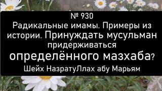 Радикальные имамы. Примеры из истории. Принуждать мусульман придерживаться определённого мазхаба?