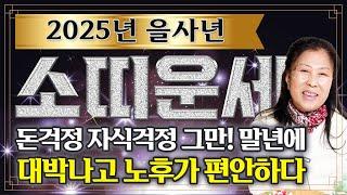 2025년 을사년 대박나는 소띠운세경축드립니다! 2025년 금전,귀인,문서운 한번에 다 들어온다! 소띠분들 운명이 바뀌고 인생이 달라집니다! 기대하세요!