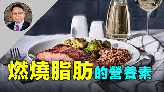 這麼吃能減肥！六種食物中的營養素能燃燒脂肪！