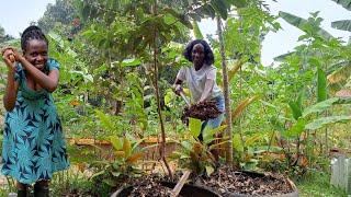 Creating New Garden Beds: Growing Our Own Food.