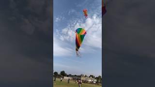 kite flying #shorts #kiteflying #kitefighting #kitelover
