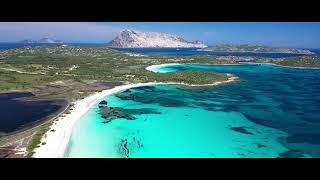 Profumo d'Estate a Lu Impostu [ 4K ] Sardegna World by drone