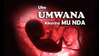 UKO UMWANA AKURIRA MU NDA Umunsi ku munsi/ Video y'uruhinja rutaravuka/UMWANA MU NDA