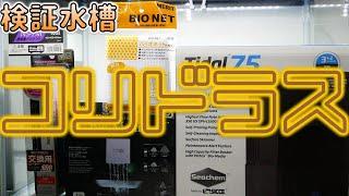 コリドラス水槽を拡張してみた。底を黒底化して最強外掛け式フィルターを試すぜ！【ふぶきテトラ】