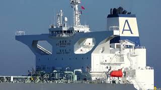 SHIPSPOTTING 2024 - Arrival and Departure Compilation Rotterdam