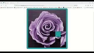 Lila Rose - Sliding Tiles