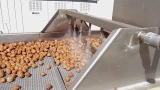 California Walnut Processing