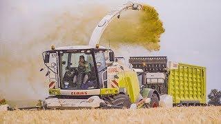 Chopping grain | Fendt tractors | Claas Jaguar forage harvester