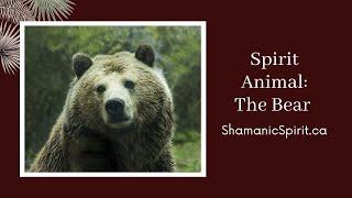 Animal Spirit Guide: The Bear (Shamanic Power Animal). Bear Symbolism