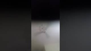 مجرد فضفضه يحكي في الحب أن هناك  عرق متصل بـ القلب لايحلو له  النبض إلا تحت تأثير كلمات أحدهم