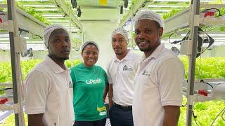 Meet The IT Engineers Who Spent $40,000 To Build Ghana’s First Indoor Hydroponic Vertical Farm