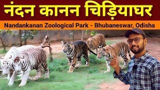 Nandankanan | Zoological Park | Bhubaneswar - Odisha | Nandankanan  jungle safari | Chidiyaghar zoo