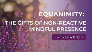 Equanimity: The Gifts of Non-Reactive Mindful Presence, with Tara Brach