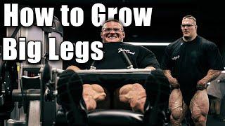 Nick Walker | How To Grow Big Legs