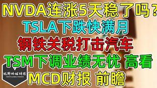 美股 NVDA连涨5天稳了吗？TSLA下跌快满月，马斯克要收购OpenAI？钢铁关税，汽车业雪上加霜！ TSM一季度下调业绩无忧！MCD财报更新！