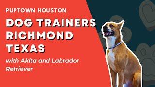 DOG TRAINERS RICHMOND TEXAS with Akita and Labrador Retriever |  #houstondogtraining