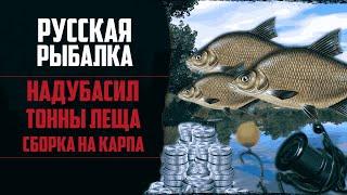 Новый Путь в РР4 #4  40 Ночей Фарма Леща | Первая Сборка На Карпа и Амура | Прокачка Карповой Ловли