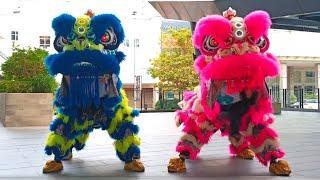 IPC - Lion Dance