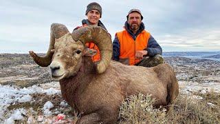 Epic Montana Bighorn Sheep Hunting! Boone and Crockett Ram 2020