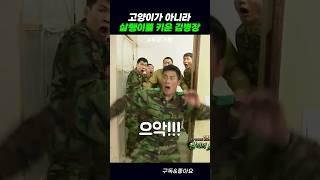 고양이가 아니라 살쾡이를 키운 김병장 #푸른거탑