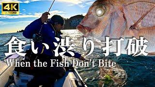 Winter Sea Fishing: When the fish don't bite!