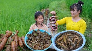 How to trap loach fish and field crabs with bamboo baskets for sale | Em Tên Toan