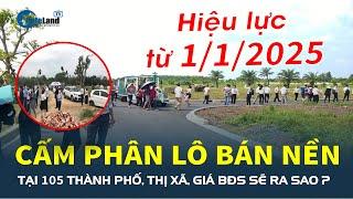 Giá bất động sản sẽ ra sao khi CẤM PHÂN LÔ BÁN NỀN tại 105 thành phố, thị xã? | CafeLand