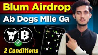 Dogs Not Showing in Blum Problem Solved | How to Get Dogs in Blum Airdrop | Blum Airdrop Update