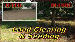 Clearing & Seeding a wooded lot - See the process and problem.