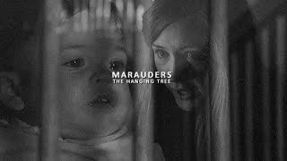 THE MARAUDERS | the hanging tree