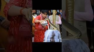  Alakh Niranjan - Divine Chanting For Peace & Power #chanchalnath #viralshorts #spiritualvibes