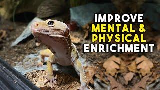 5 EASY Ways To IMPROVE Your LEOPARD GECKO Setup | Tank Enrichment