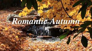 Relaxing Music and Nature | Stress Relief Calm | Beautiful Autumn