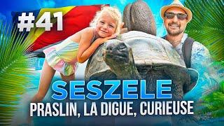 PRASLIN, LA DIGUE, CURIEUSE -  Seszele na własną rękę! #41