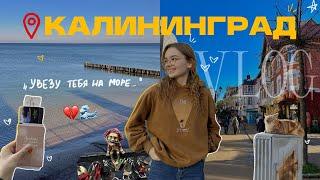 VLOG: улетели в КАЛИНИНГРАД БЕСПЛАТНО! // осень, море, Зеленоградск и перезагрузка 