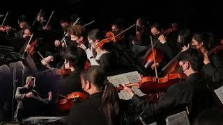 Monta Vista HS Chamber Orchestra  - Fantasia on a Theme by Thomas Tallis