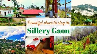 Sillery Gaon Best Homestay  | Budget Stay | Beautiful Viewpoint | Booking Details | Kalimpong