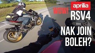 Indahnya Ride ke Pau Yik Mun | Ducati Monster feat. RSV4 dan Audi A6