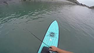 Sup Fishing with the Savage Gear TPE Mullet Wake.