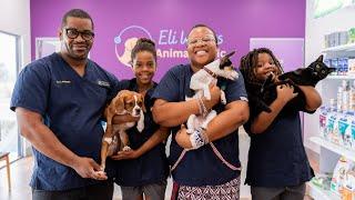 Welcome to Eli Waters Animal Clinic/ Relocate to Australia / Immigrants Dream