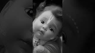 #jai krishna #jai gopala