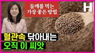 들깨 먹는법 주의점 오메가3 연어 200배